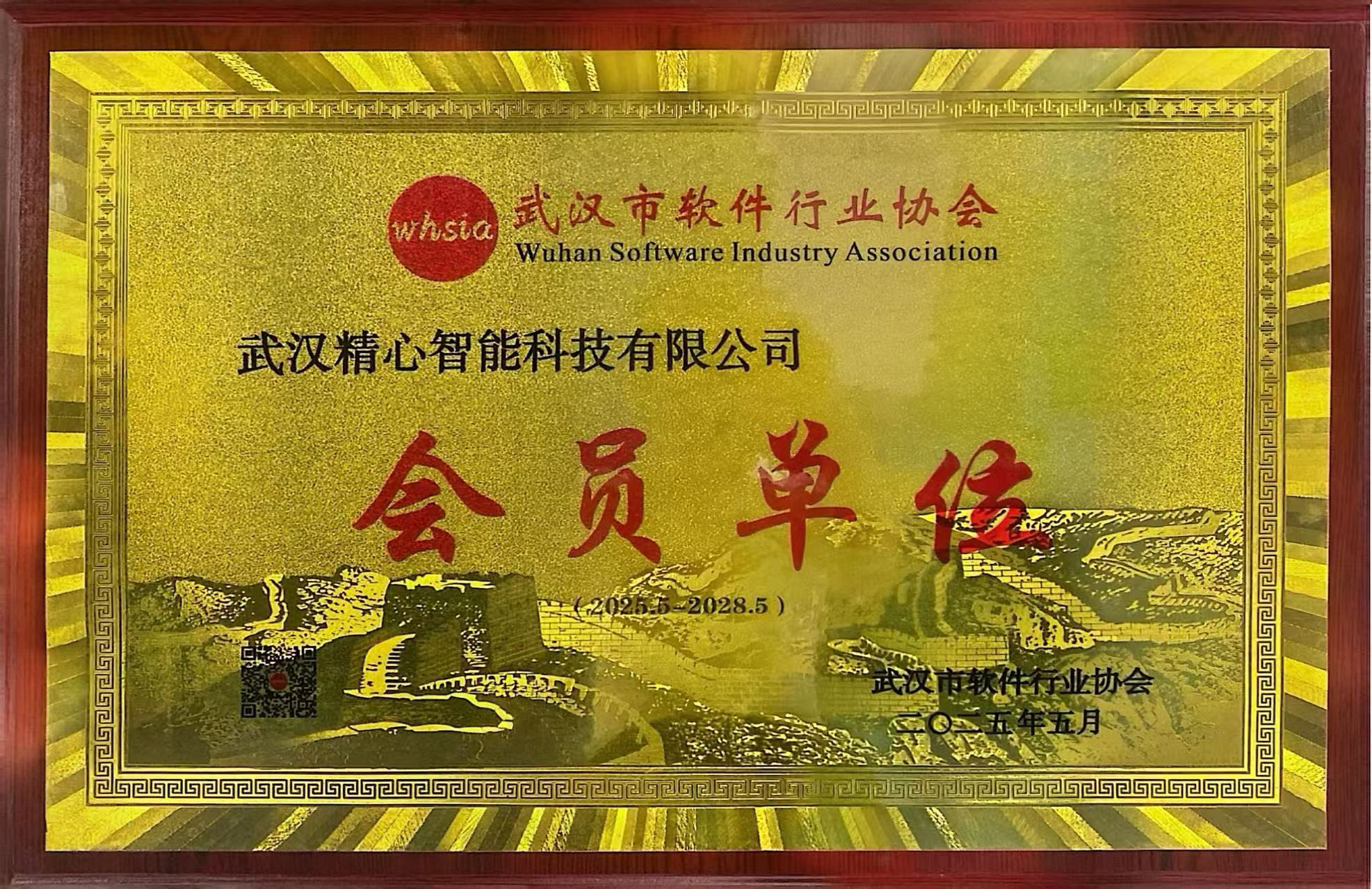 武汉市软件行业协会会员单位